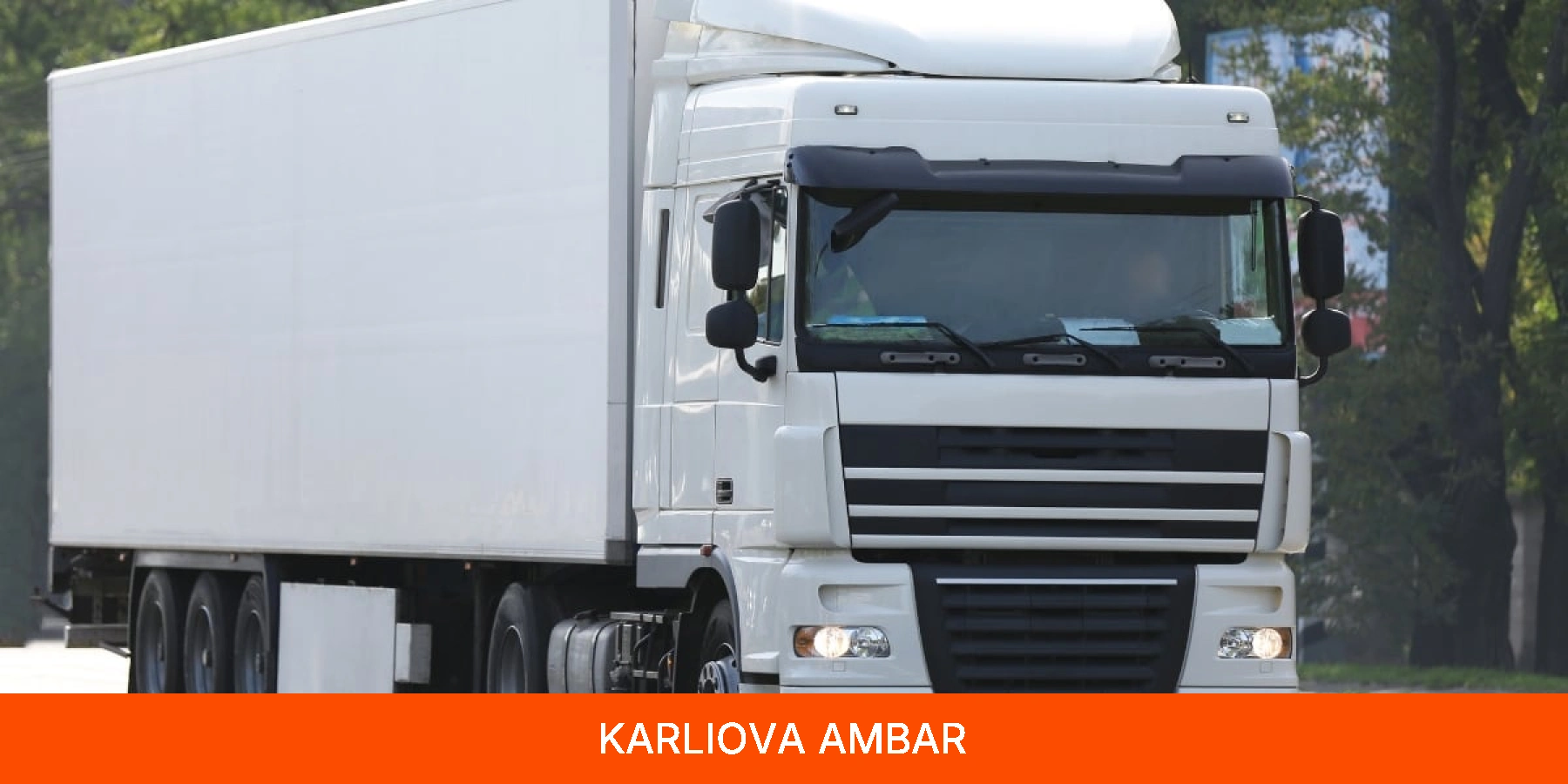 Karlıova Ambar
