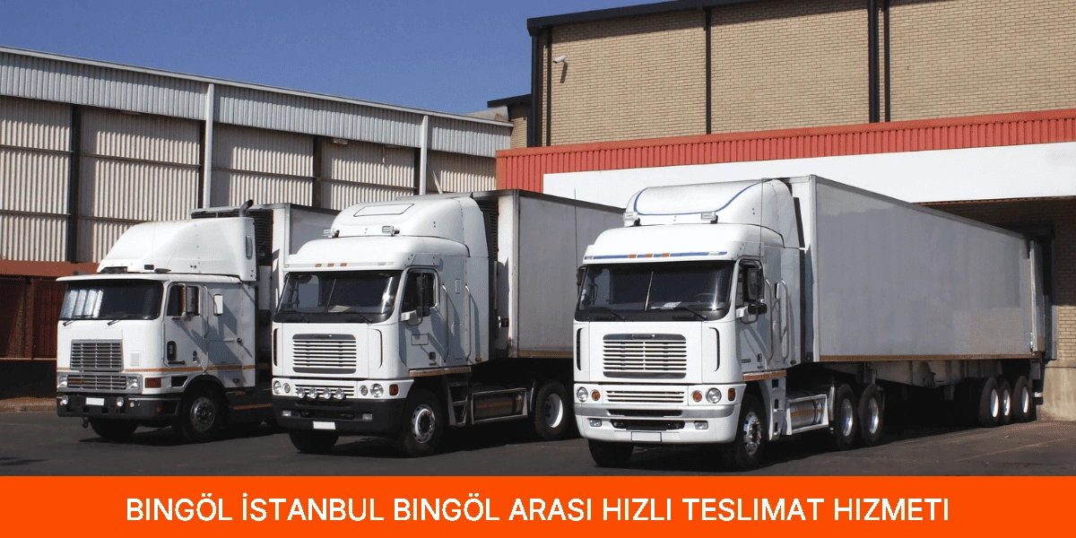 İstanbul Bingöl Arası Hızlı Teslimat Hizmeti