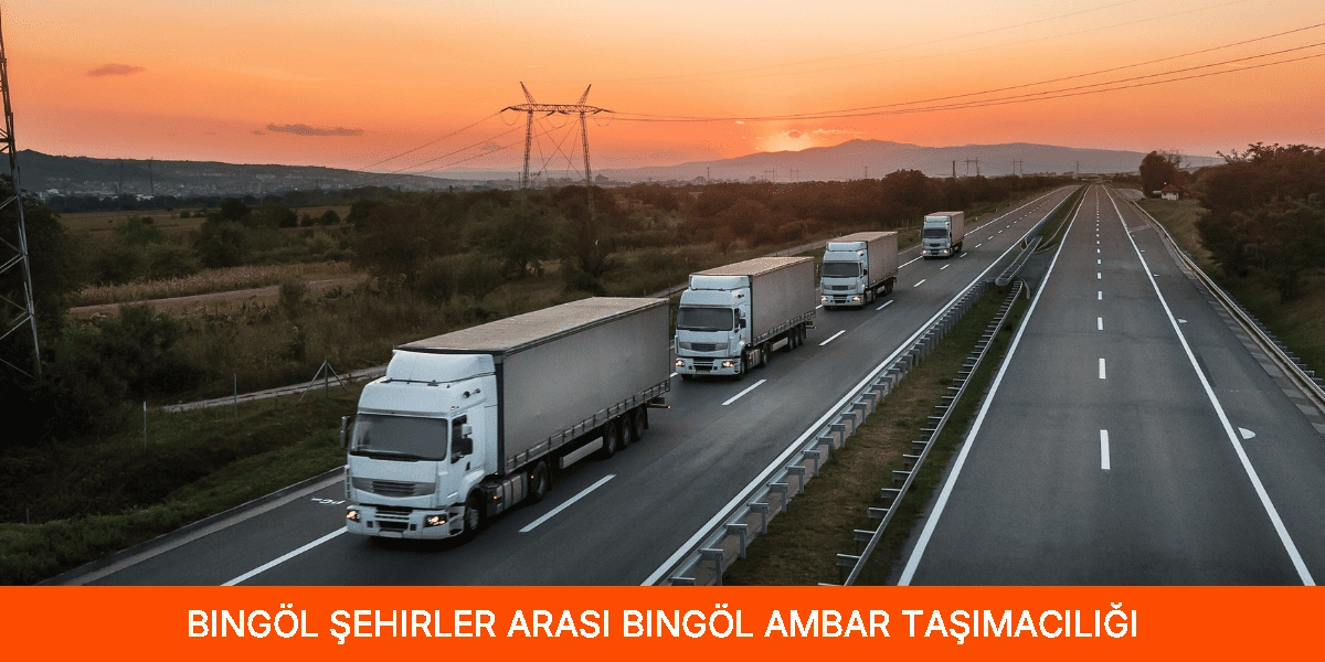 Şehirler Arası Bingöl Ambar Taşımacılığı
